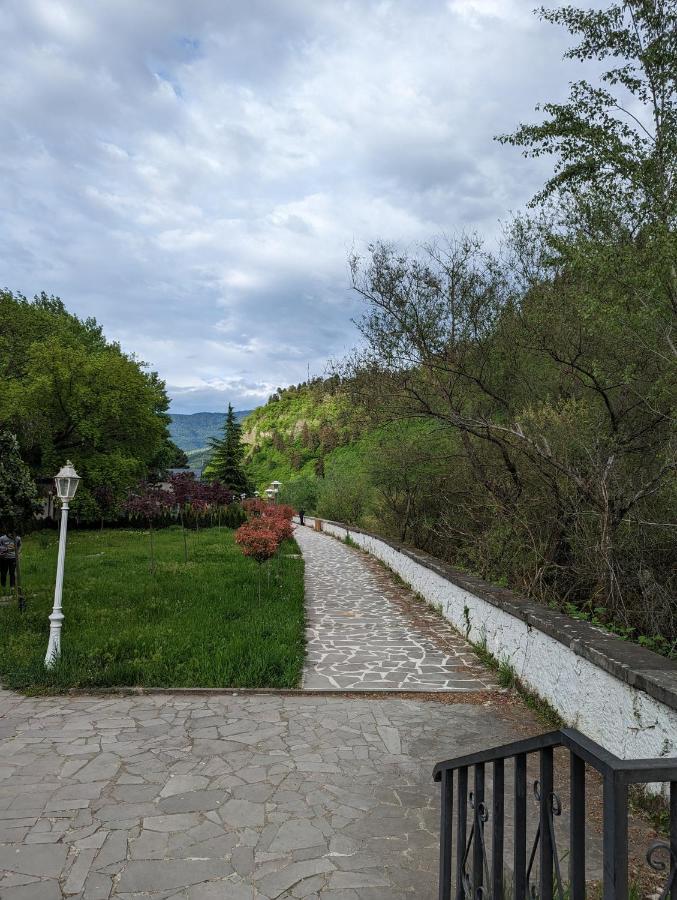 Gari'S Apartment Next To Borjomi Central Park Exterior photo