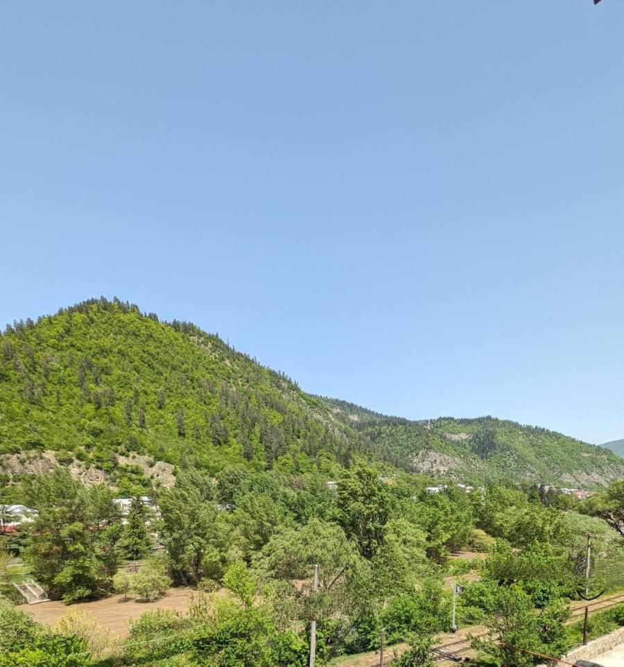 Gari'S Apartment Next To Borjomi Central Park Exterior photo