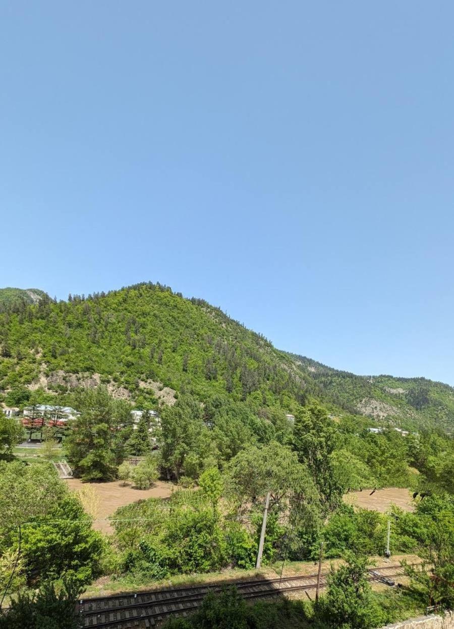 Gari'S Apartment Next To Borjomi Central Park Exterior photo